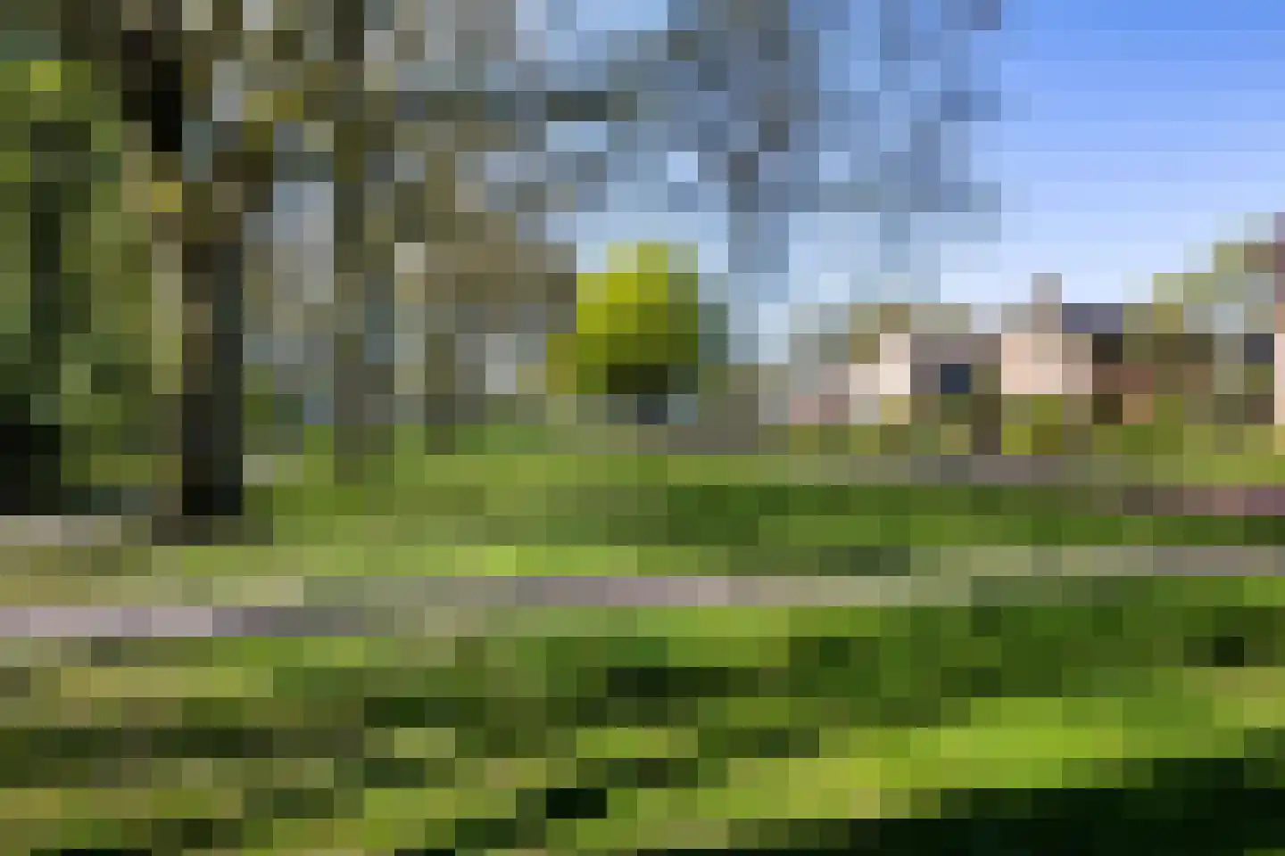 Beukenlaan 12 Nieuwe Pekela foto 3