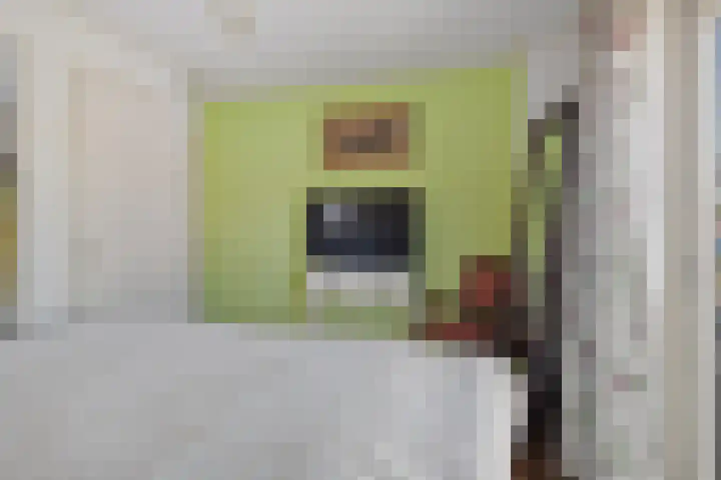 Beukenlaan 12 Nieuwe Pekela thumbnail 33