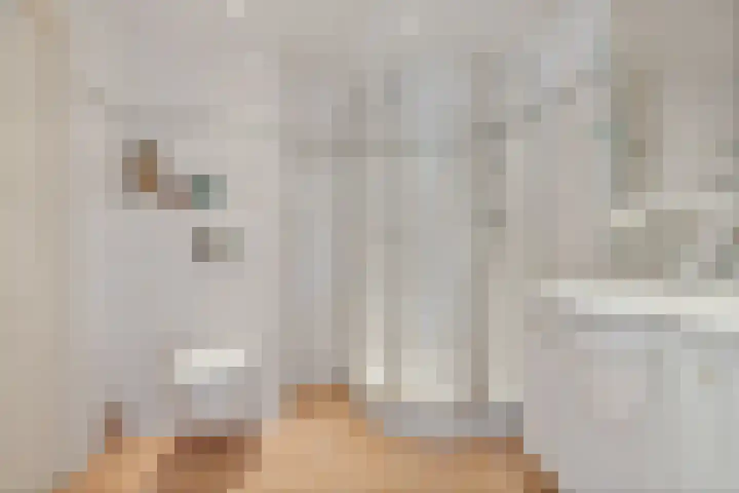 Beukenlaan 12 Nieuwe Pekela thumbnail 36