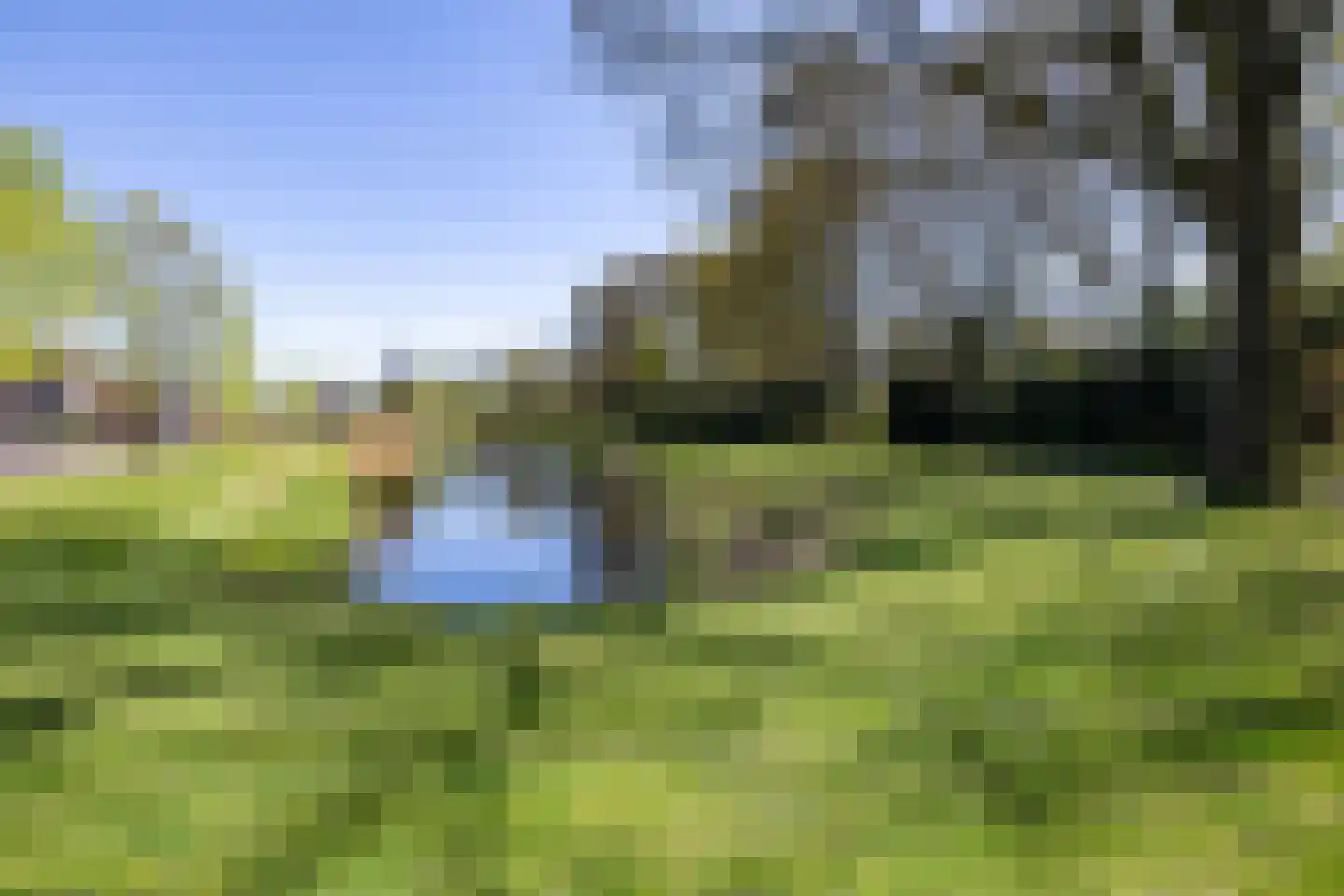 Beukenlaan 12 Nieuwe Pekela thumbnail 4