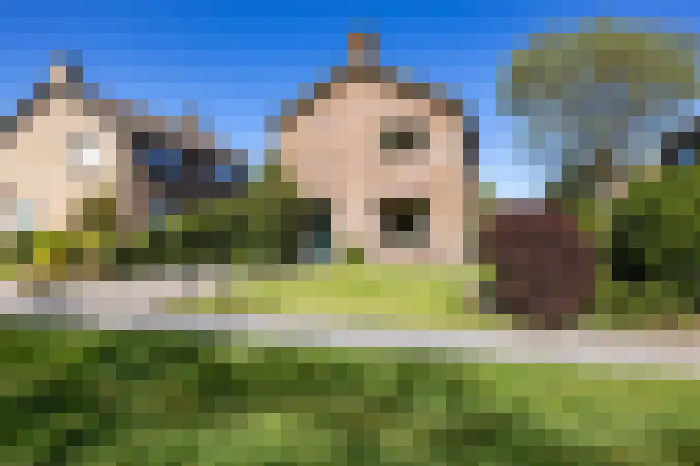 Beukenlaan 12 Nieuwe Pekela thumbnail 6
