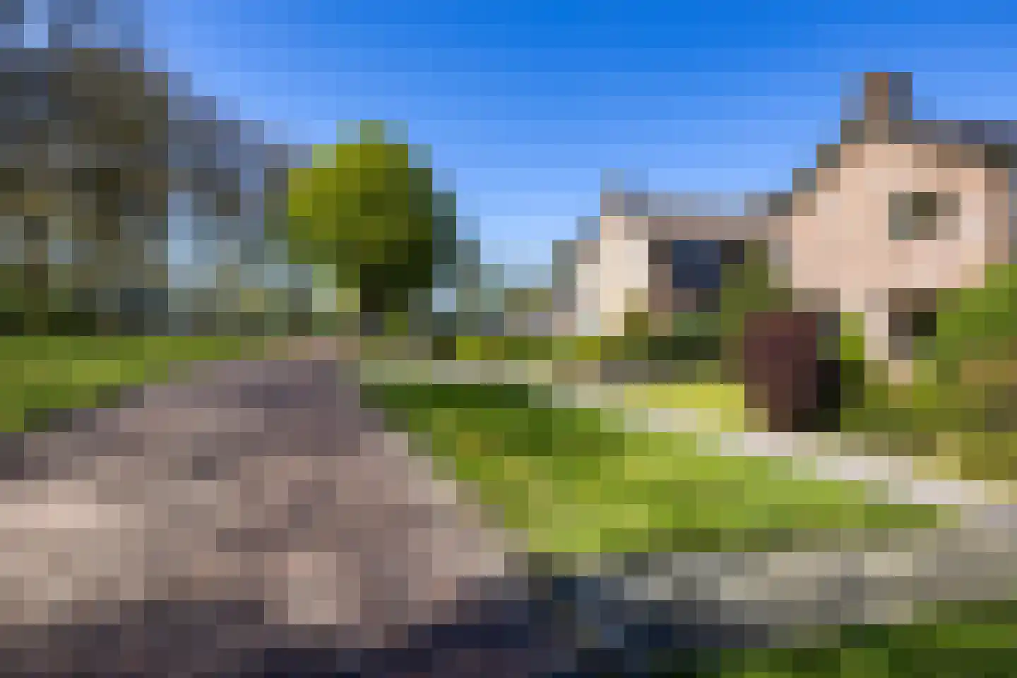 Beukenlaan 12 Nieuwe Pekela thumbnail 7