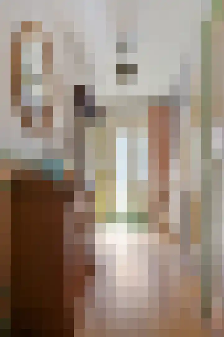 Beukenlaan 12 Nieuwe Pekela thumbnail 9