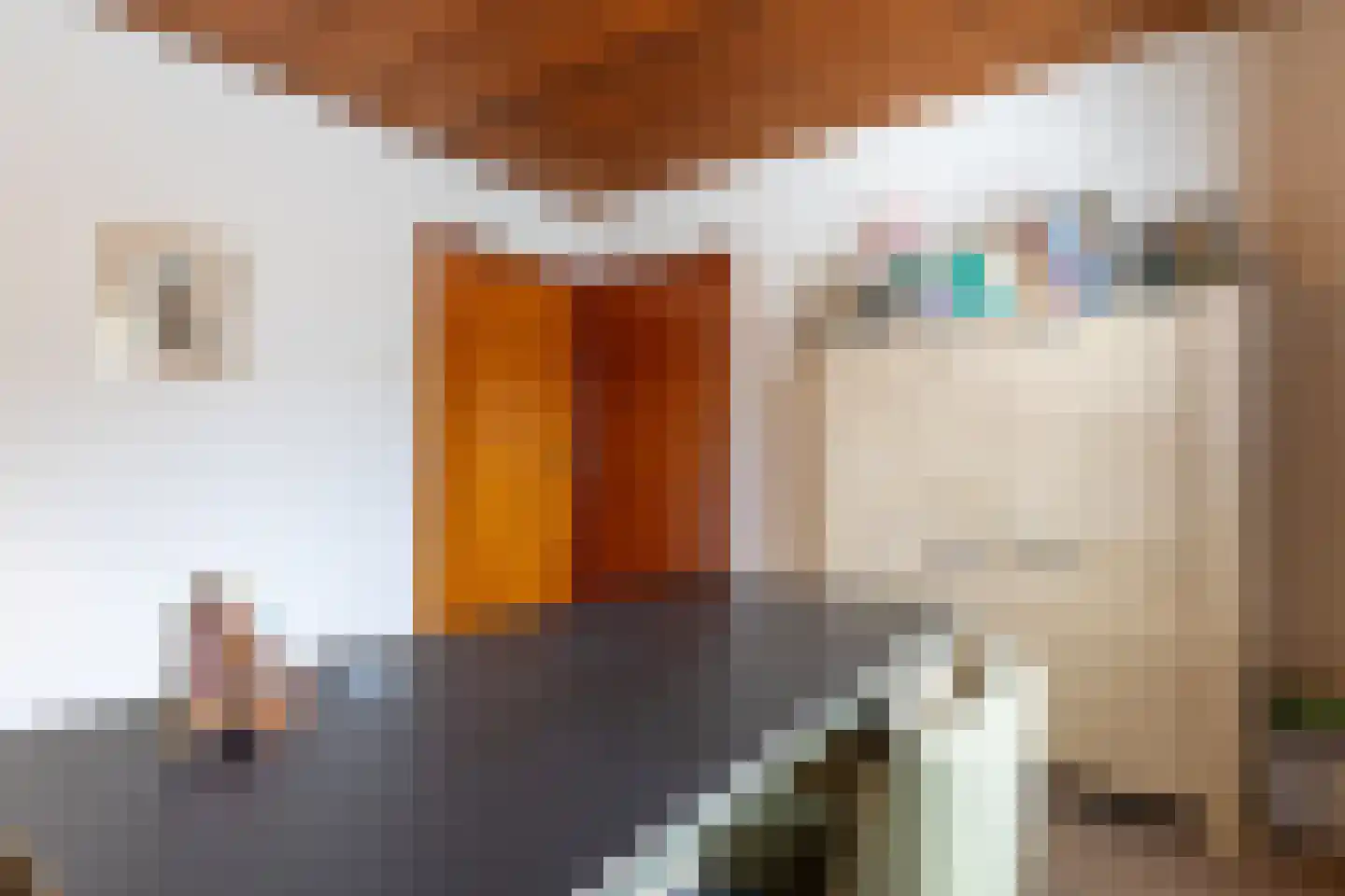 Beukenlaan 12 Ossendrecht thumbnail 28