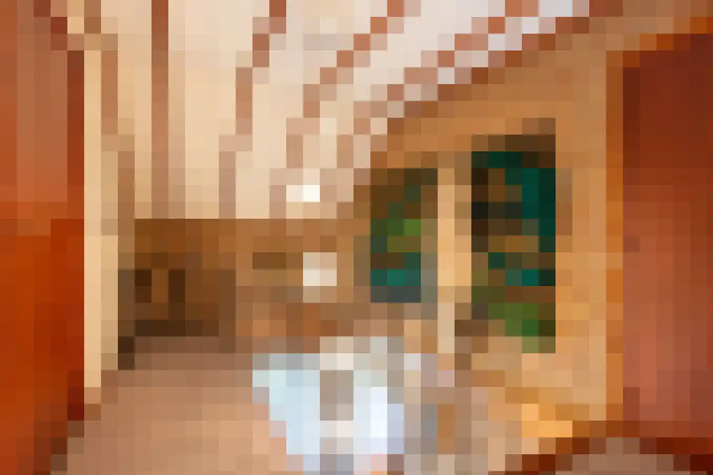 Beukenlaan 12 Ossendrecht thumbnail 33