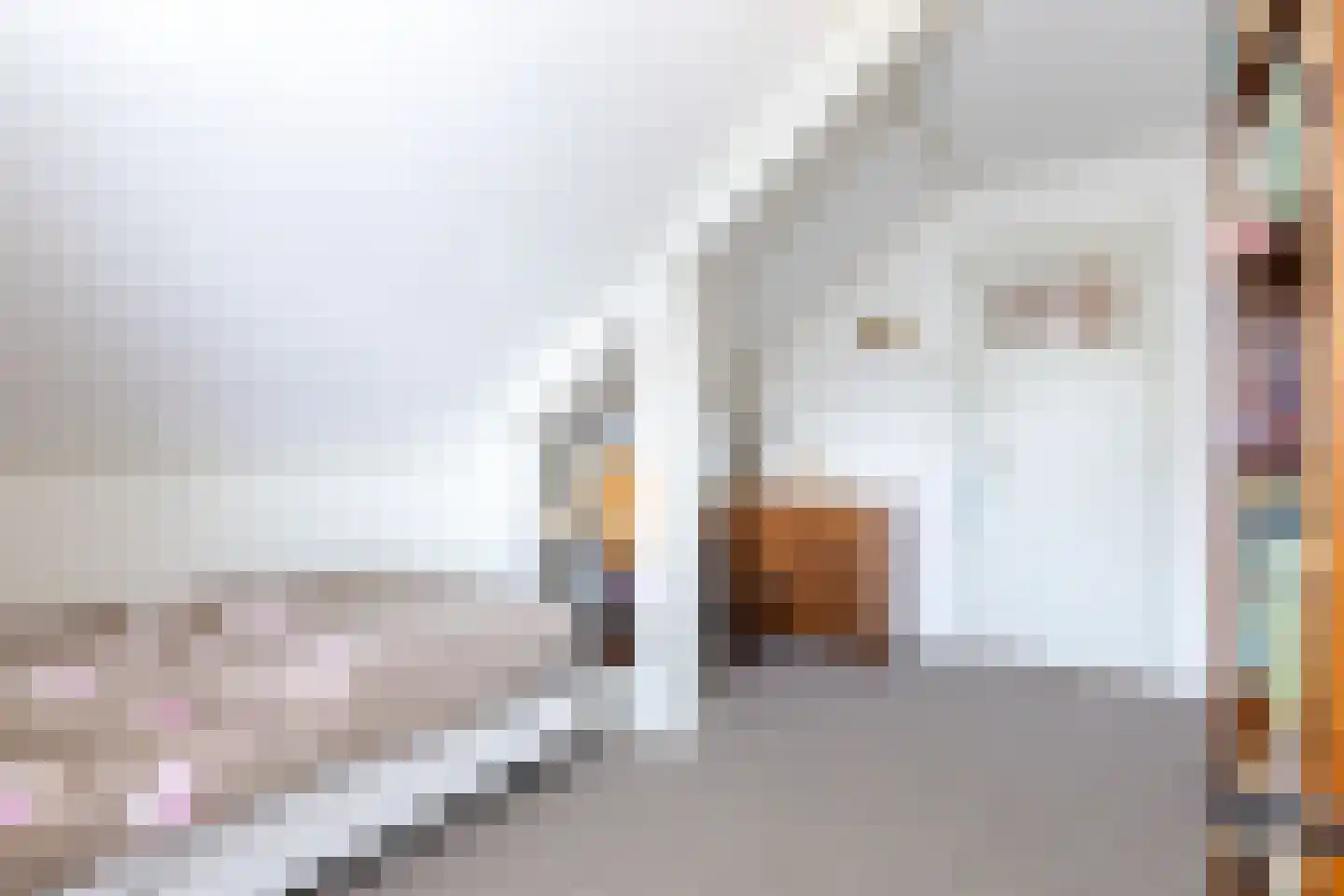 Beukenlaan 12 Ossendrecht thumbnail 38