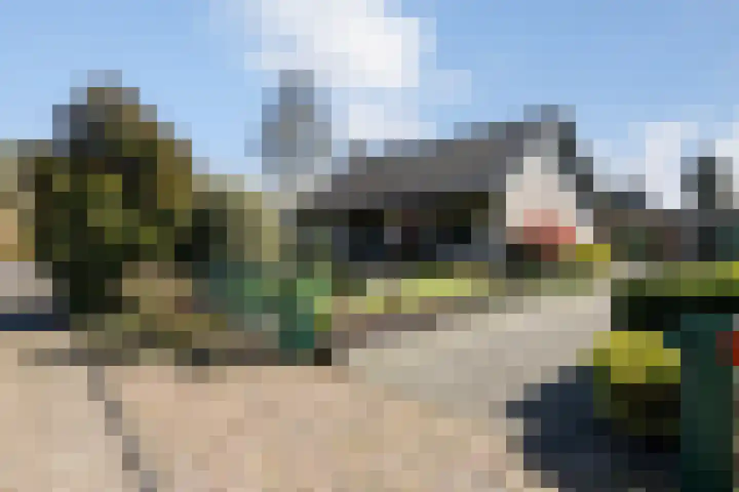 Beukenlaan 12 Ossendrecht thumbnail 42