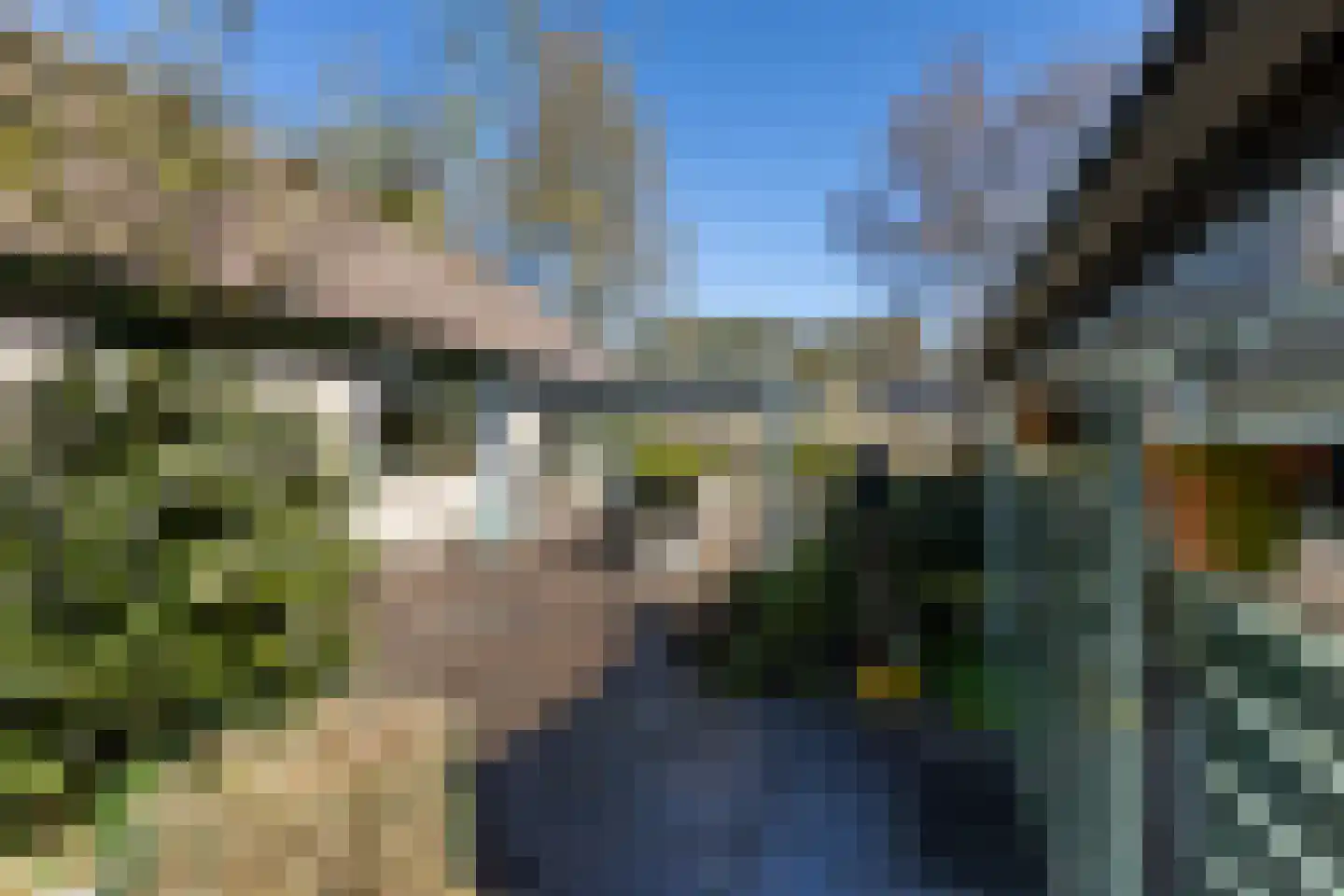 Beukenlaan 12 Ossendrecht thumbnail 49