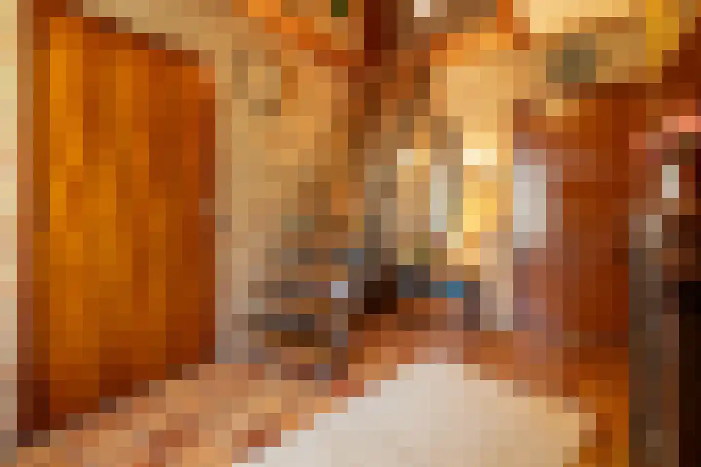 Beukenlaan 12 Ossendrecht thumbnail 5
