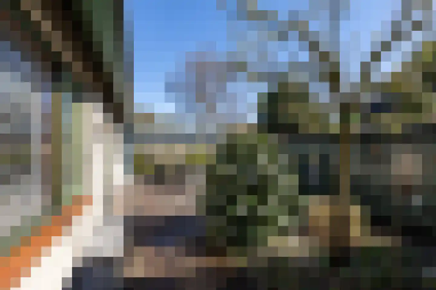 Beukenlaan 12 Ossendrecht thumbnail 50