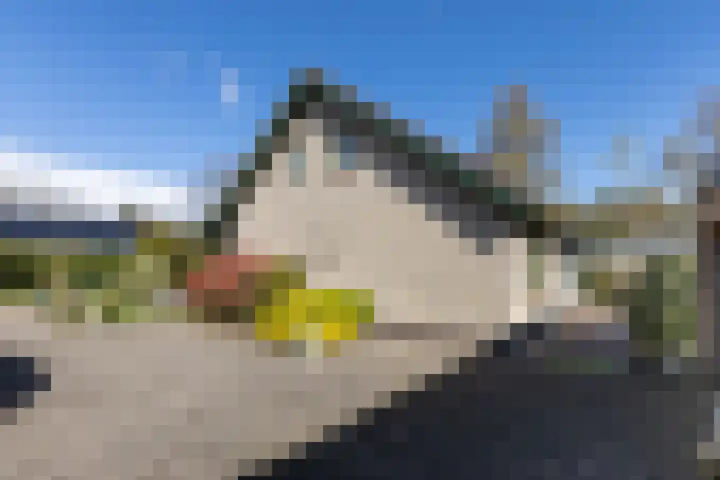 Beukenlaan 12 Ossendrecht thumbnail 55