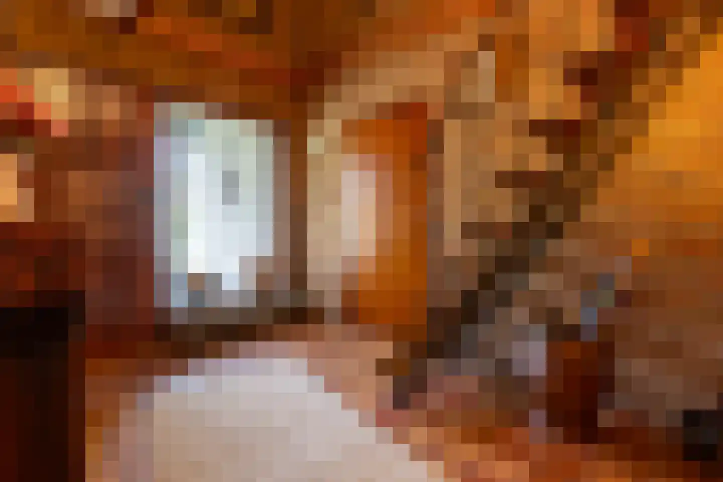 Beukenlaan 12 Ossendrecht thumbnail 7