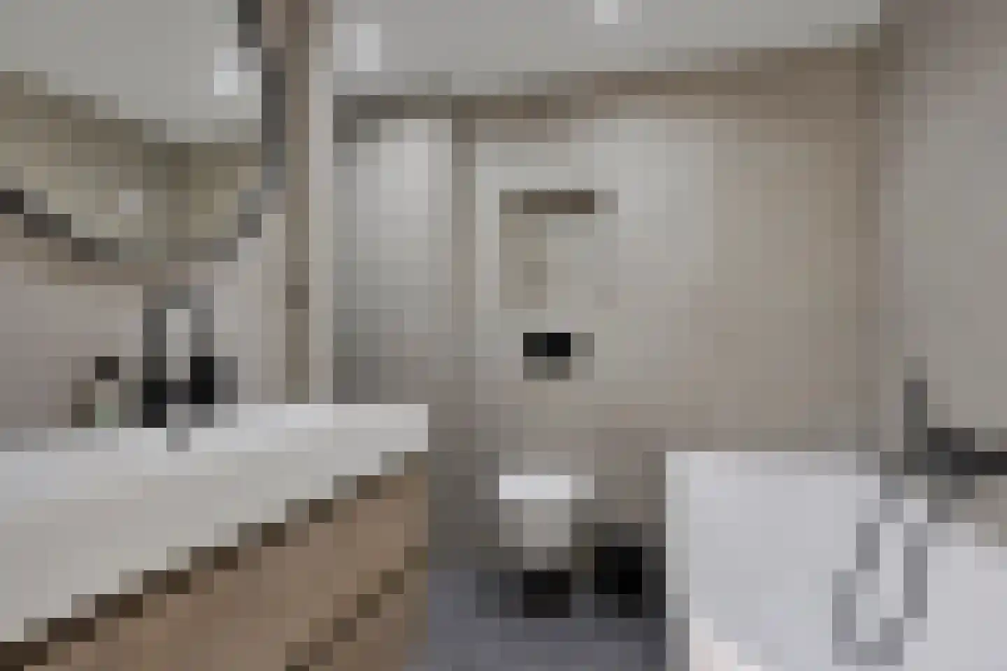 Beukenlaan 12 Renswoude thumbnail 18