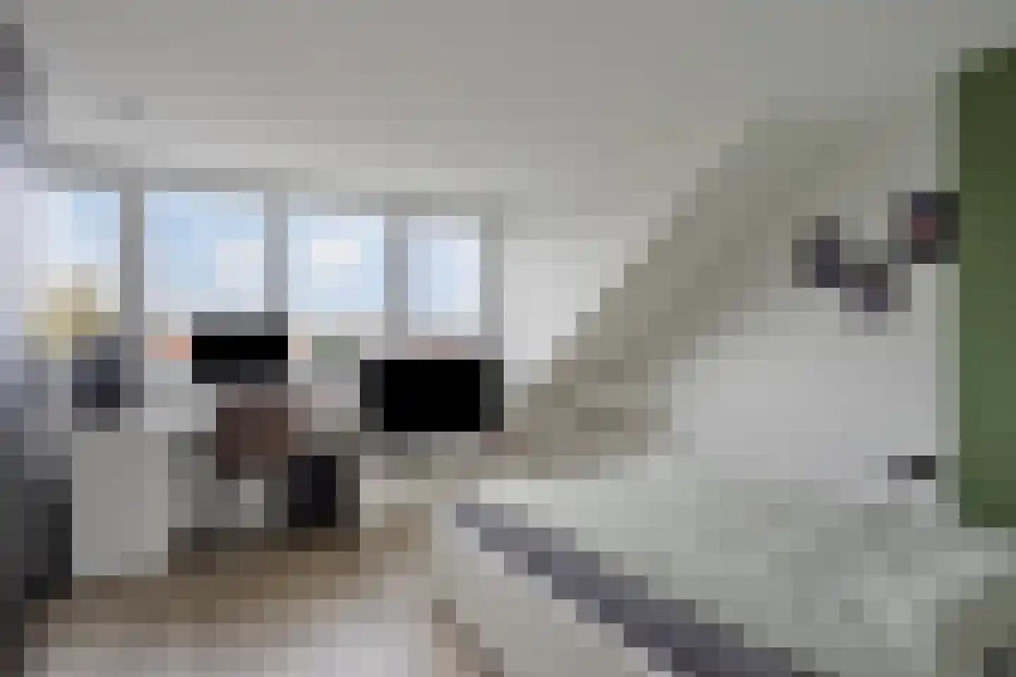 Beukenlaan 12 Renswoude thumbnail 22