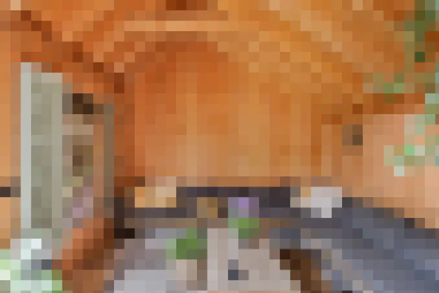 Beukenlaan 12 Renswoude thumbnail 26