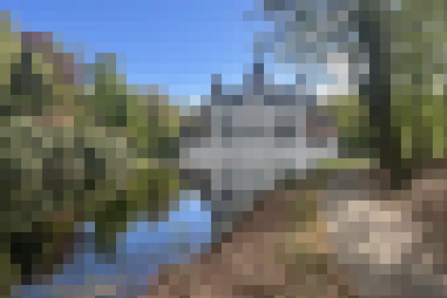 Beukenlaan 12 Renswoude thumbnail 30