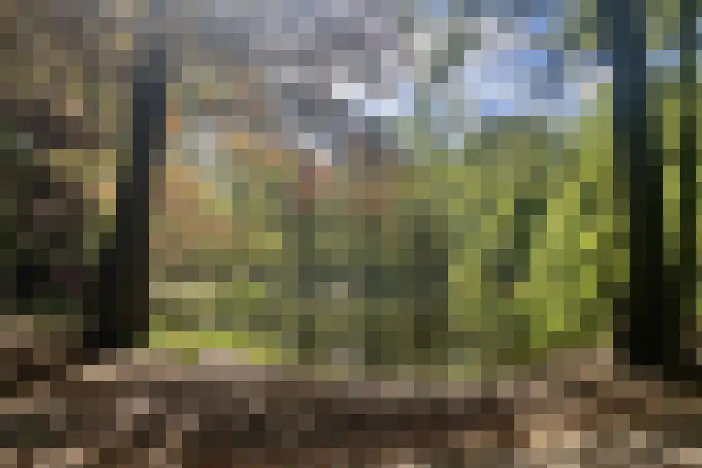 Beukenlaan 12 Renswoude thumbnail 31