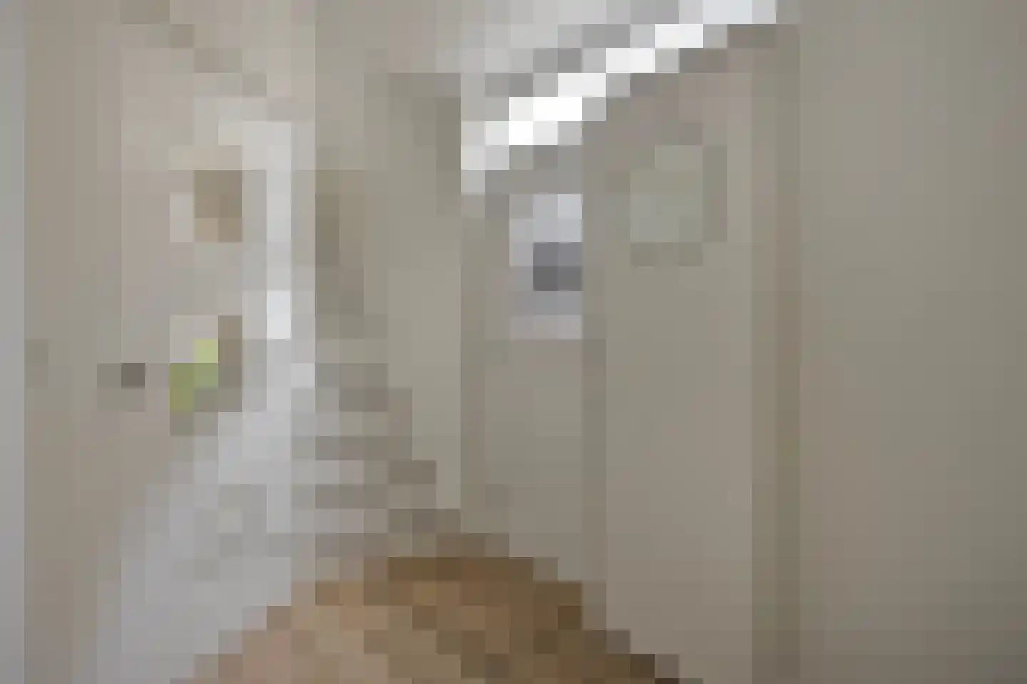 Beukenlaan 12 Renswoude thumbnail 6