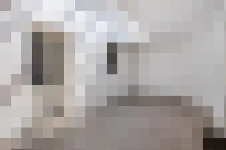 Beukenlaan 12 Vinkel thumbnail 11