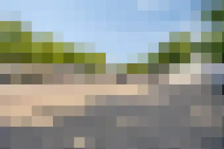Beukenlaan 12 Vinkel thumbnail 32
