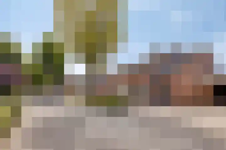 Beukenlaan 12 Vinkel thumbnail 35