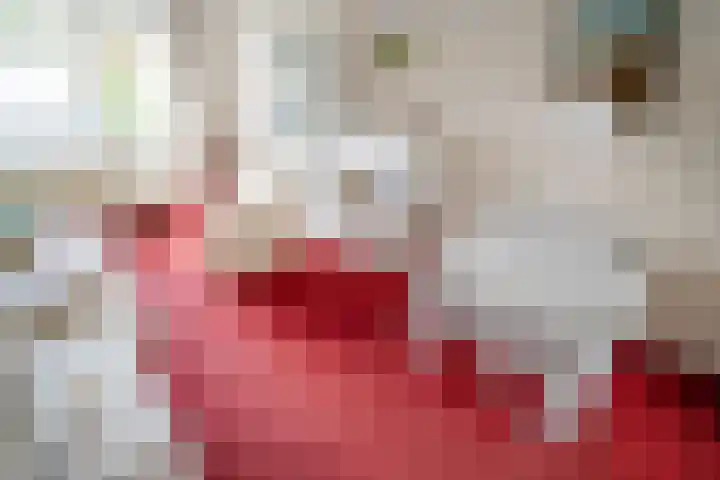 Beukenlaan 12 Zoeterwoude thumbnail 11