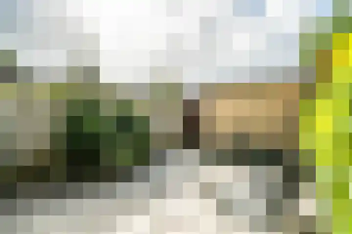 Beukenlaan 12 Zoeterwoude thumbnail 16