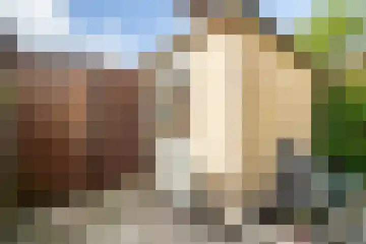 Beukenlaan 12 Zoeterwoude thumbnail 17