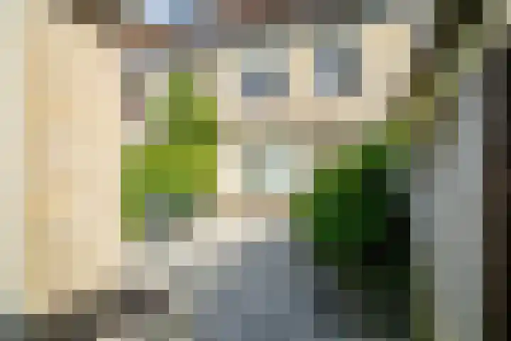 Beukenlaan 12 Zoeterwoude thumbnail 18