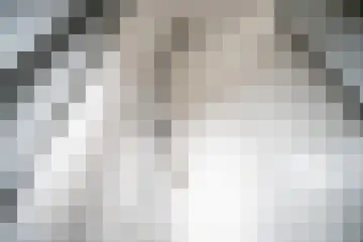 Beukenlaan 12 Zoeterwoude thumbnail 27
