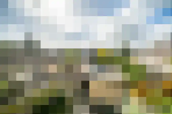Beukenlaan 12 Zoeterwoude thumbnail 33