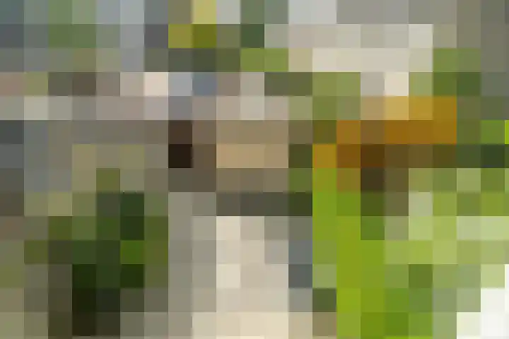 Beukenlaan 12 Zoeterwoude thumbnail 34
