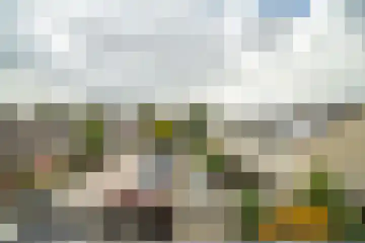 Beukenlaan 12 Zoeterwoude thumbnail 44