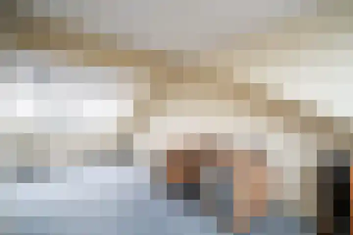 Beukenlaan 12 Zoeterwoude thumbnail 45