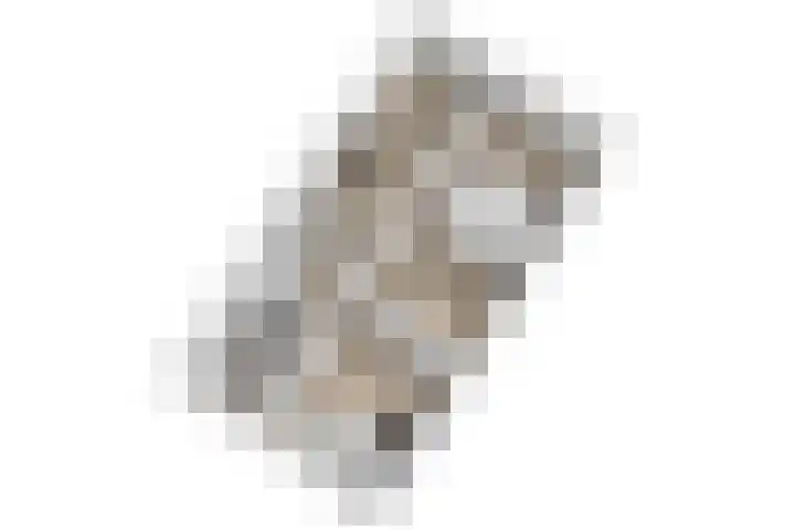 Beukenlaan 12 Zoeterwoude thumbnail 53