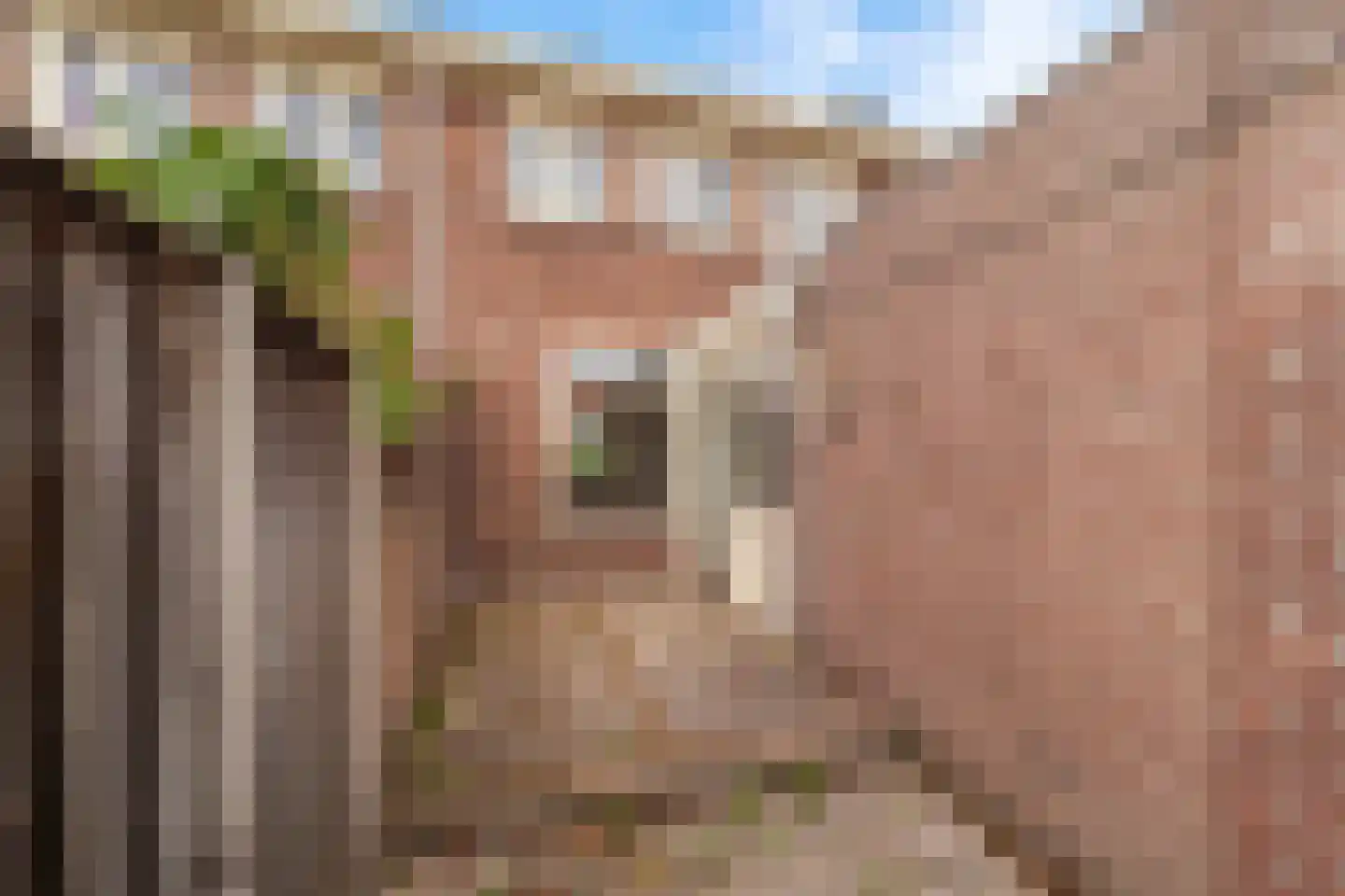 Beukenlaan 122 Arnhem thumbnail 28