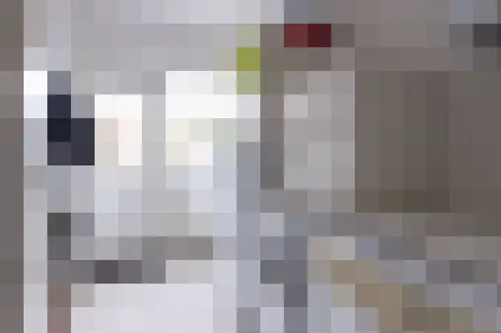 Beukenlaan 122 Grootebroek thumbnail 15