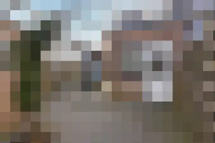 Beukenlaan 122 Grootebroek thumbnail 19
