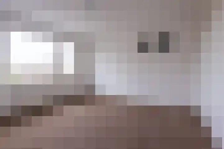 Beukenlaan 122 Grootebroek thumbnail 22