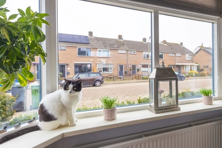 Beukenlaan 122 Grootebroek thumbnail 8