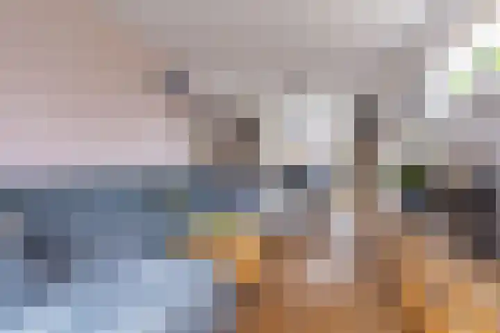 Beukenlaan 122 Grootebroek thumbnail 9