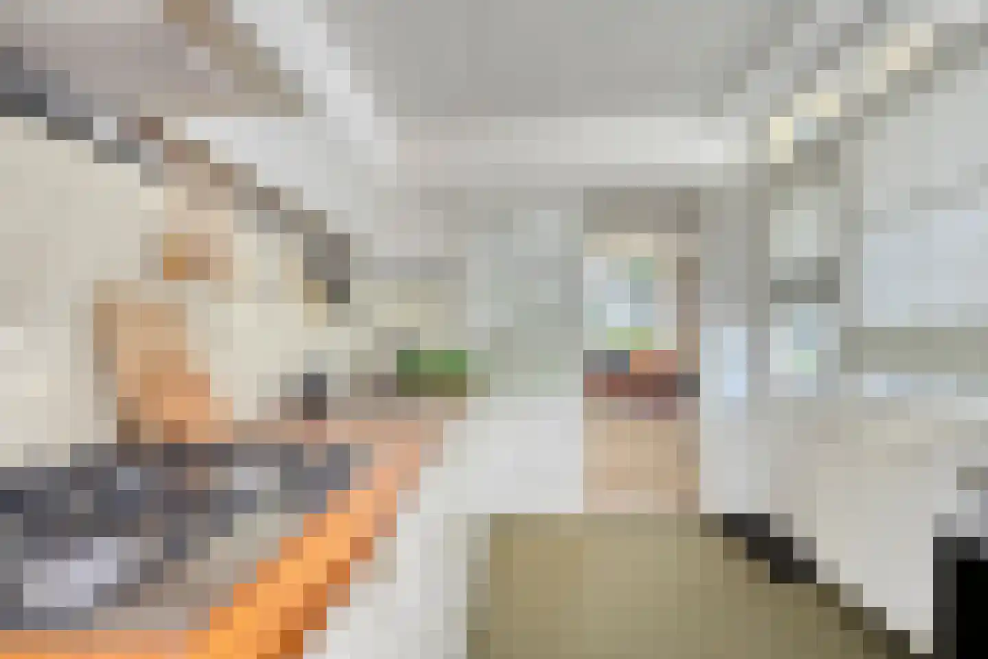 Beukenlaan 124 Arnhem thumbnail 12