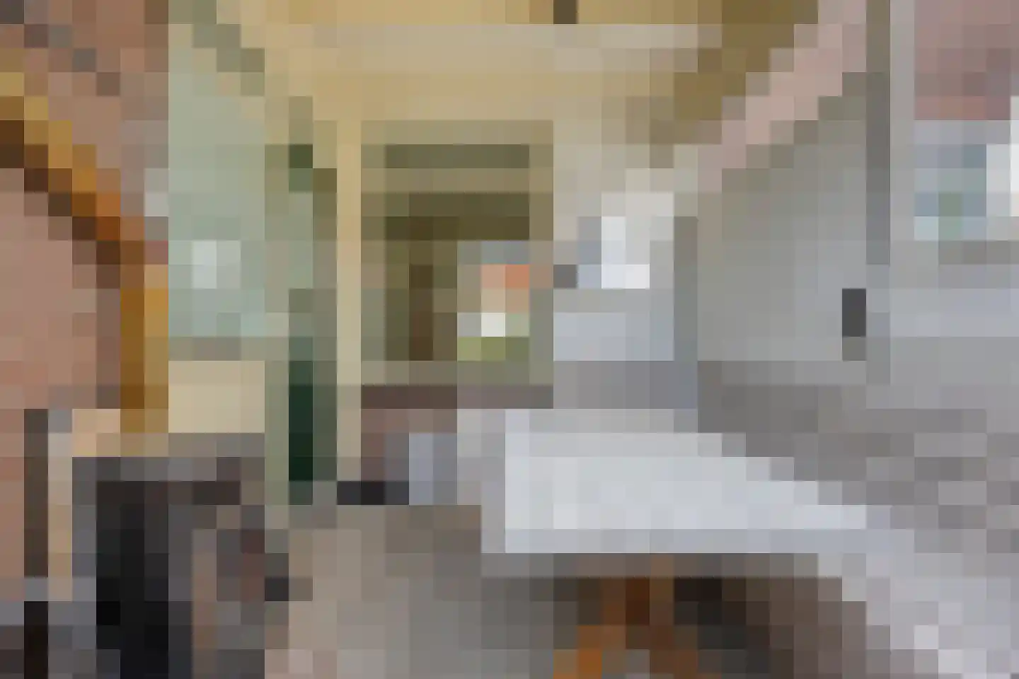 Beukenlaan 124 Arnhem thumbnail 24