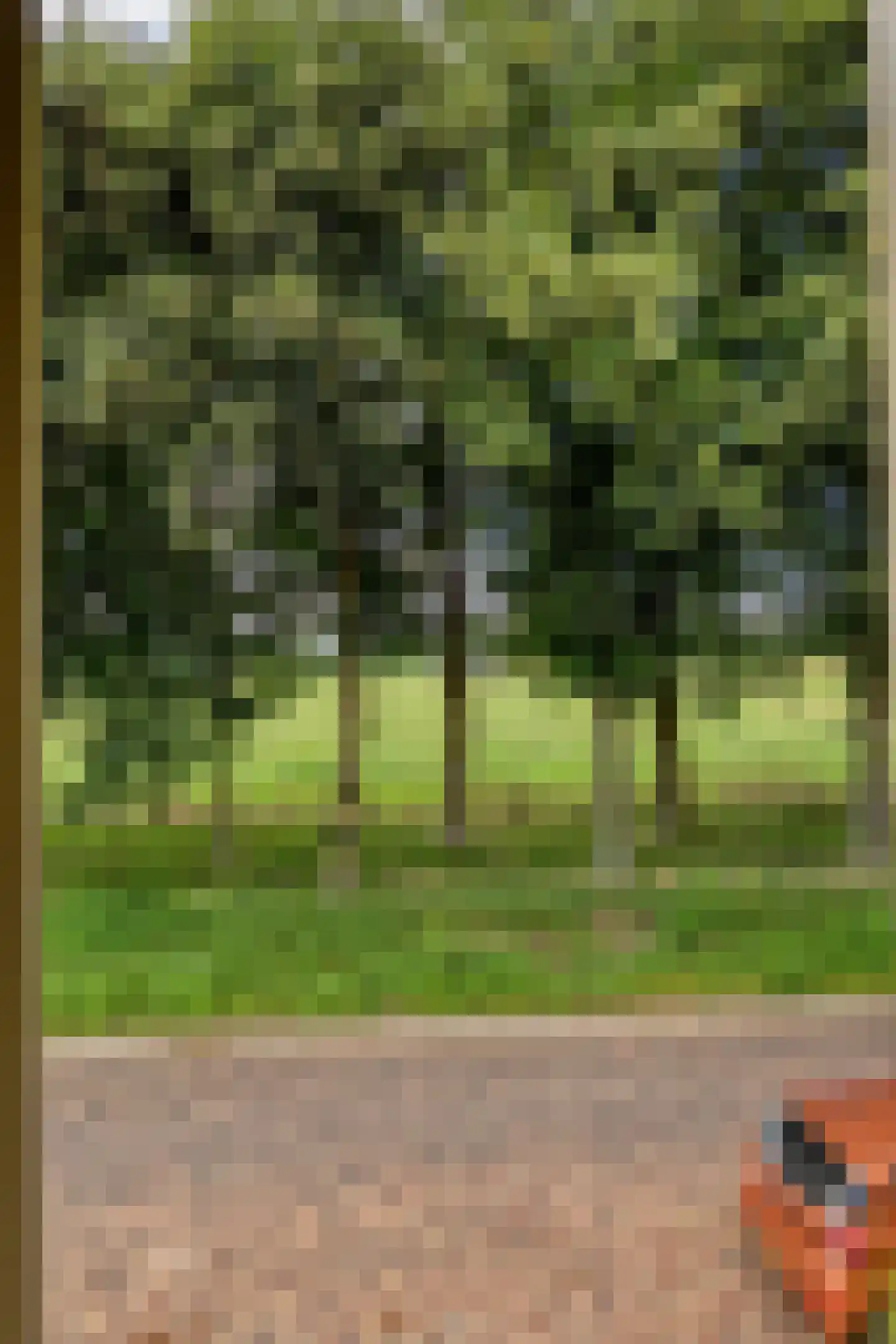 Beukenlaan 124 Arnhem thumbnail 26
