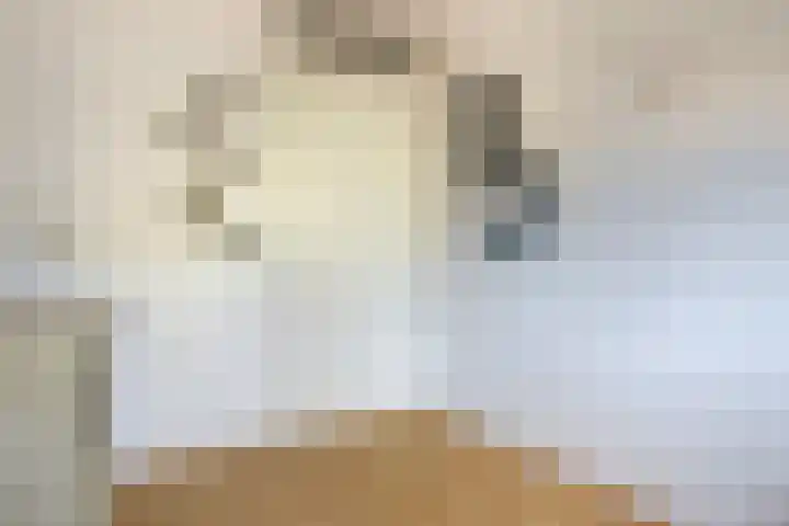 Beukenlaan 13 Alphen thumbnail 23