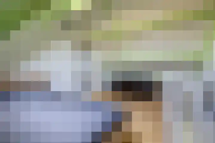 Beukenlaan 13 Alphen thumbnail 28