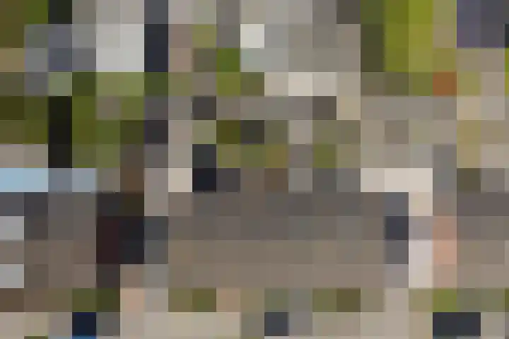 Beukenlaan 13 Alphen thumbnail 37
