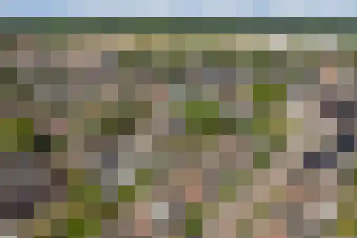 Beukenlaan 13 Alphen thumbnail 38