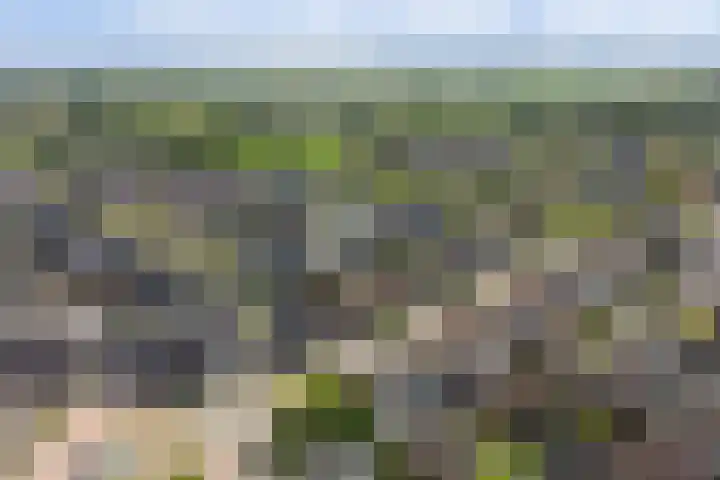 Beukenlaan 13 Alphen thumbnail 39