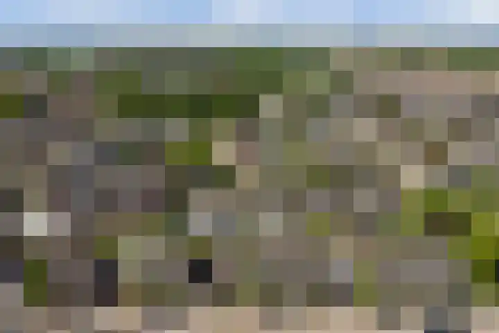 Beukenlaan 13 Alphen thumbnail 41
